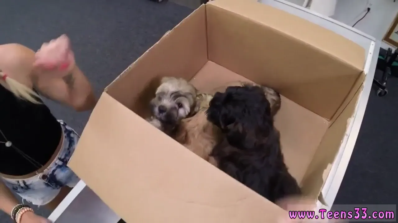 Czech teen orgy hd Puppy Love