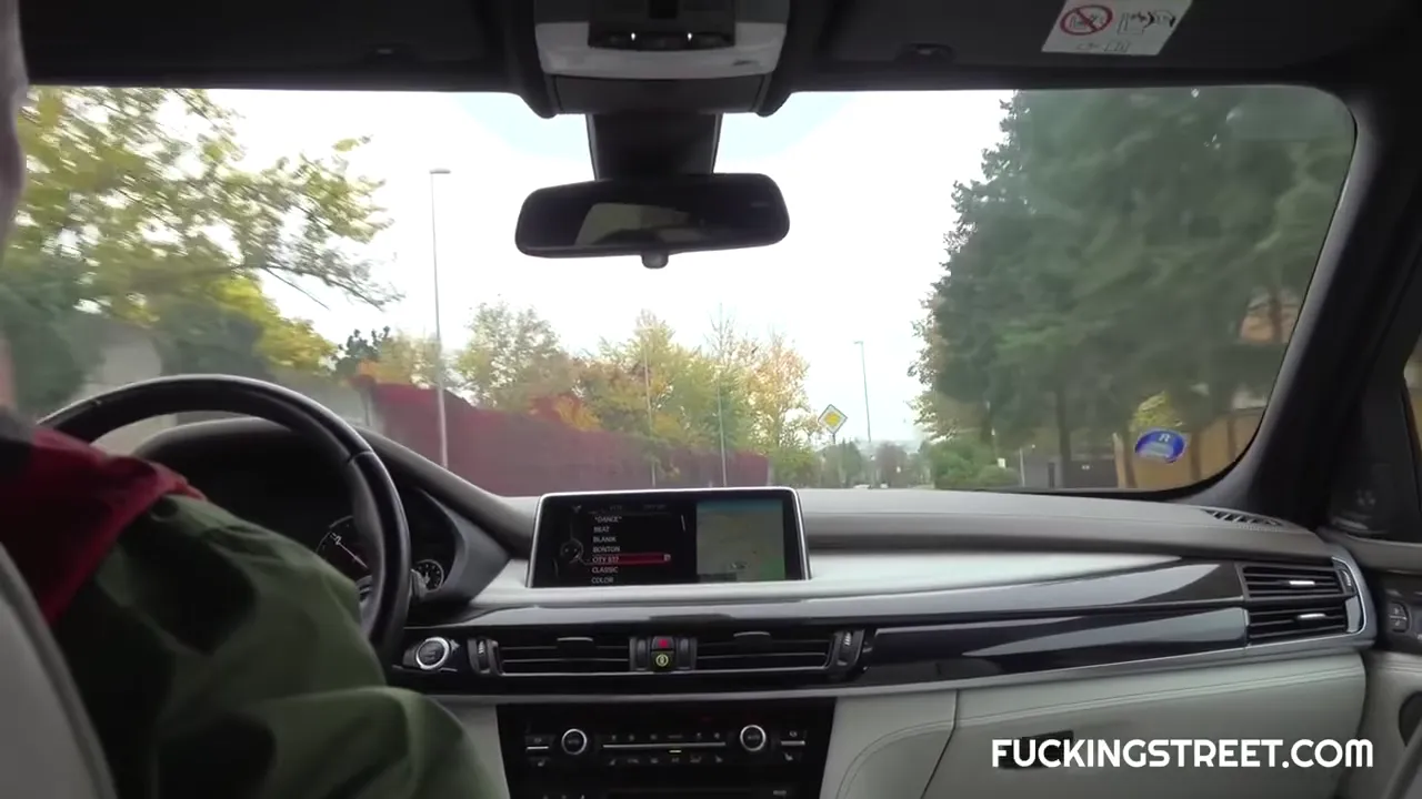 Curvy Blond Czech Hitchhiker Fucked In The Car