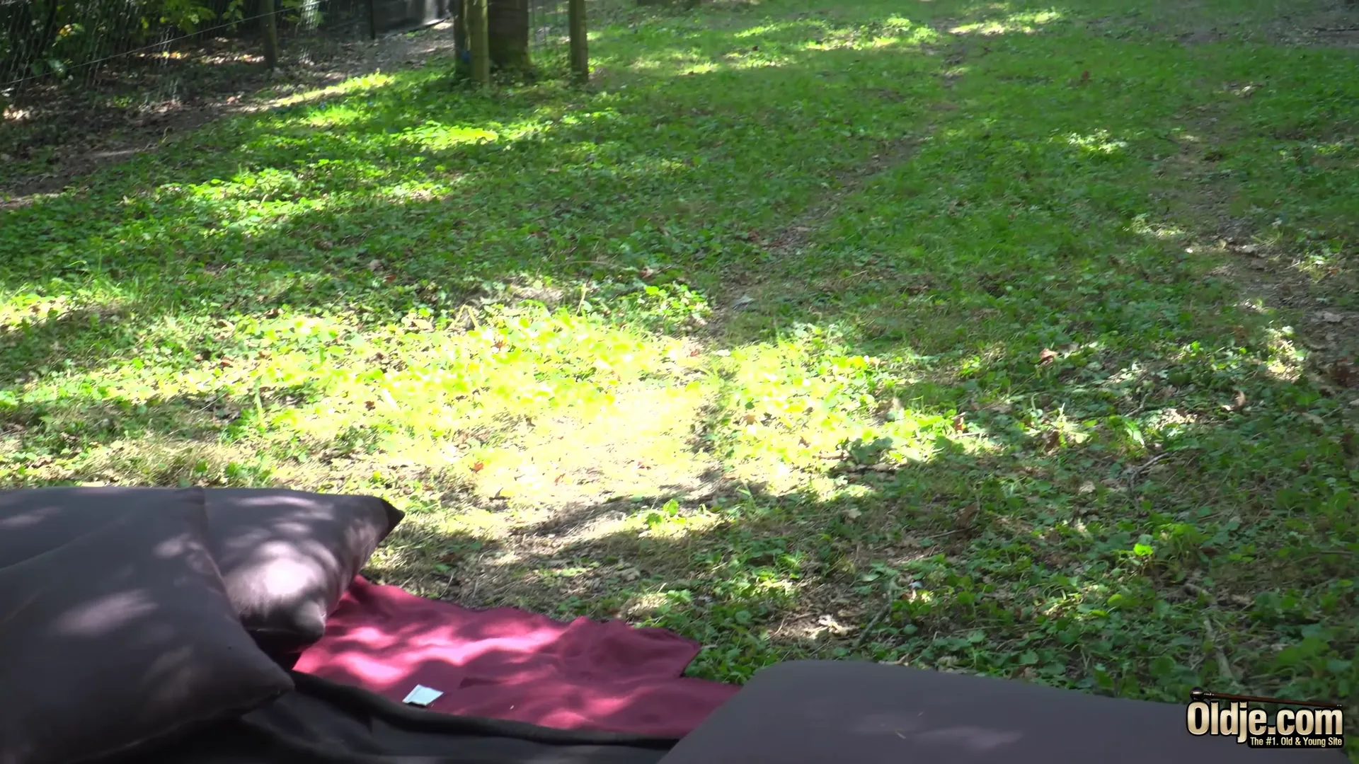Sooki And Mike, Fun In The Forrest