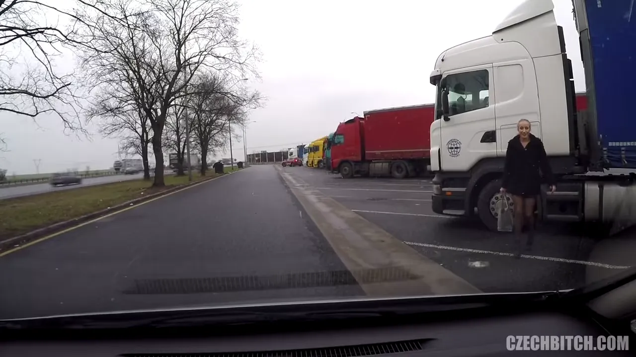 Czech Car Fuck Bitch