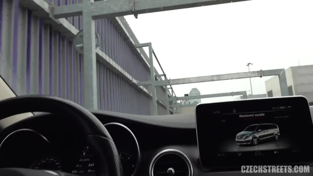Curvy Beauty Takes a Wild Ride: Anal Adventure with a Pickup Artist in a Car