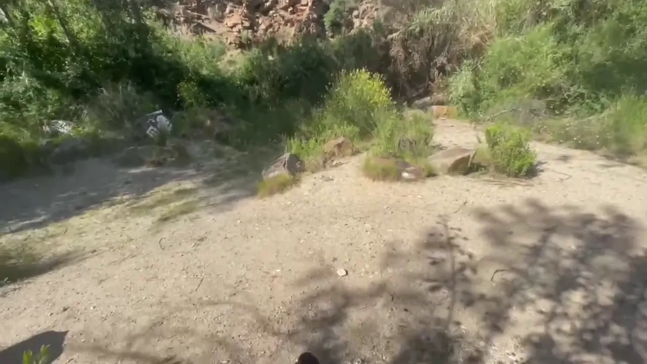 Public Passion: Girlfriend Delivers Steamy Blowjob to Boyfriend Outdoors