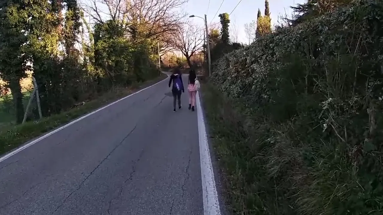 Two Brunettes Share One Strong Member Outdoors