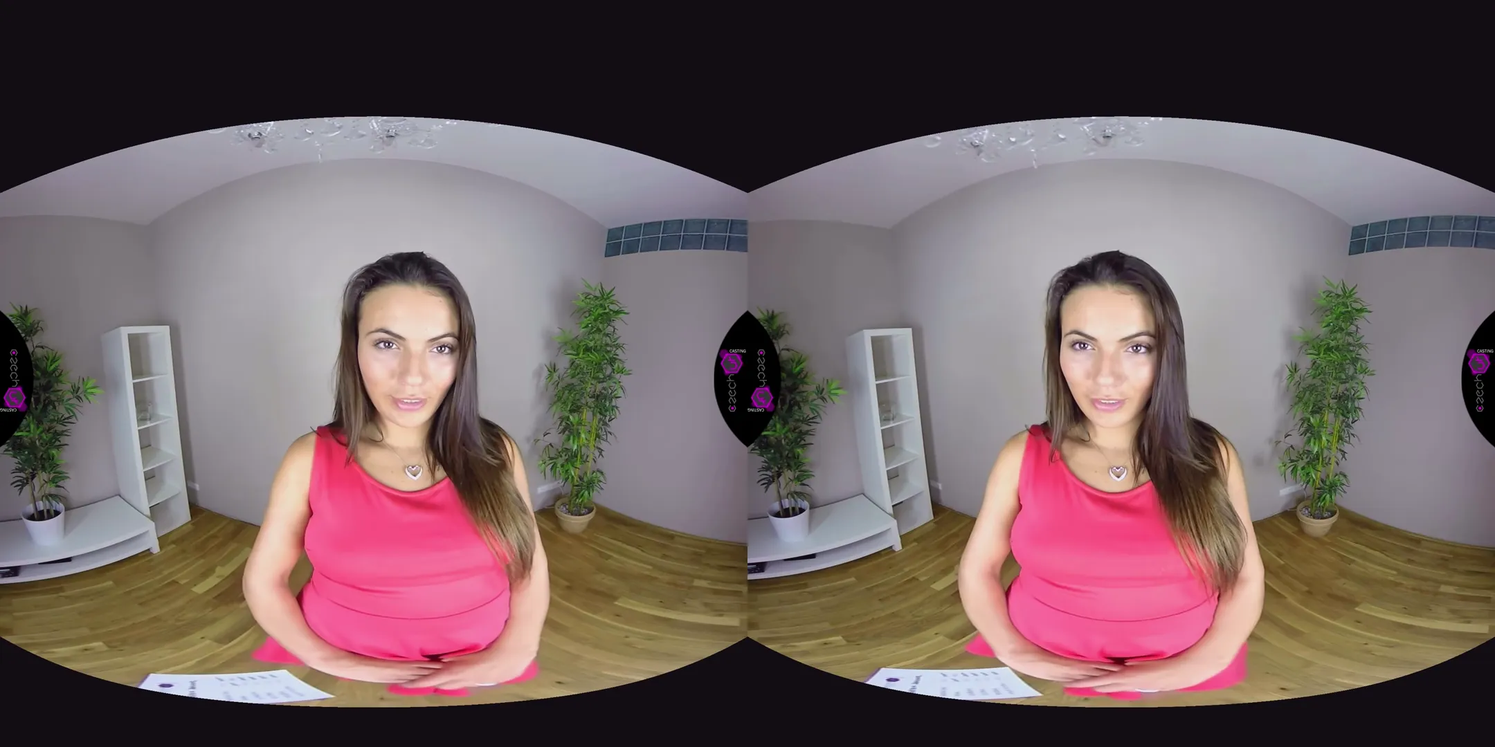 Czech Check VR